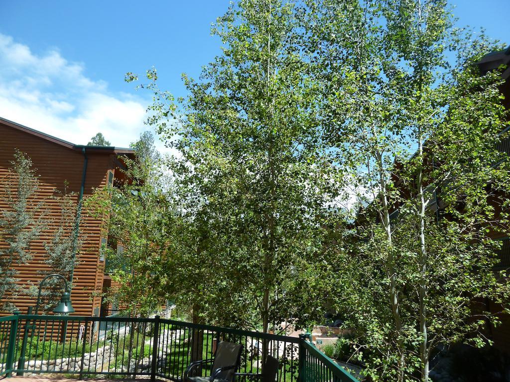 Ruidoso River Resort Condos Bagian luar foto